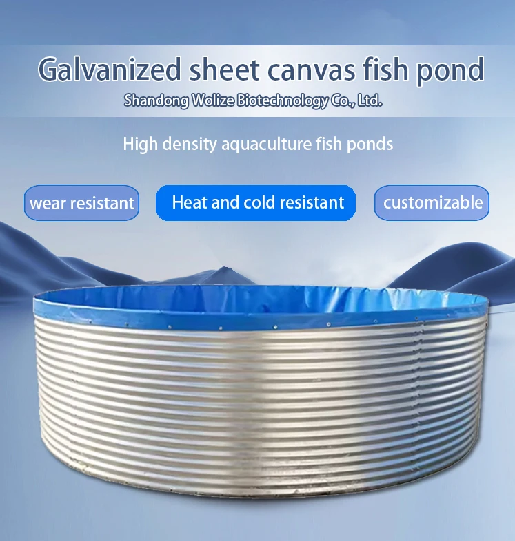 Aquaculture Tilapia Planting Flowing Water Culture System Fish and Shrimp Farm Fish Farming Equipment