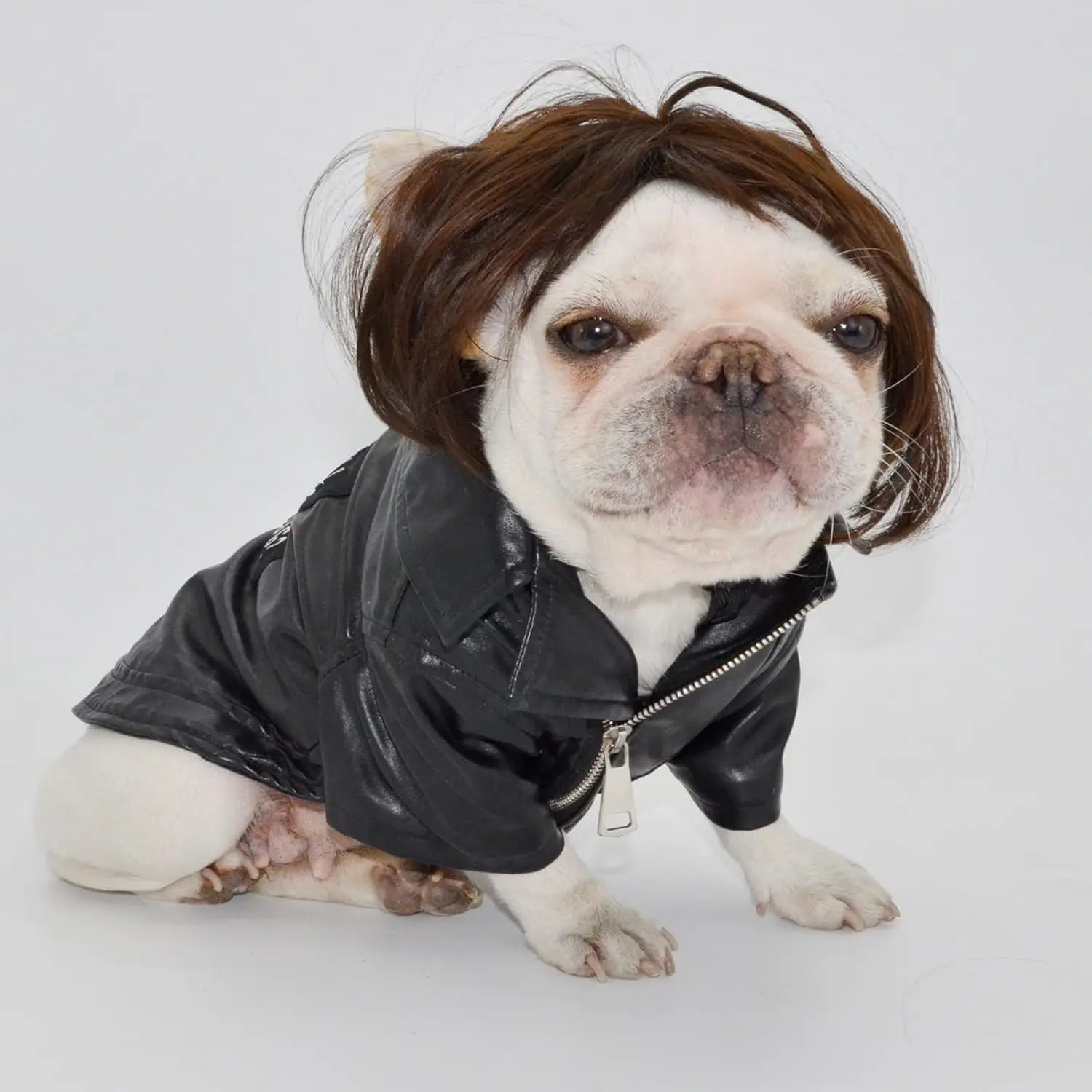 Funny Dog Cat Cosplay Wig,Pet Wigs for Halloween, Christmas, Parties, Festivals, Dog Wigs for Small Medium and Large Dogs