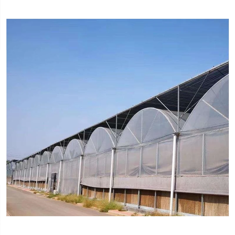 24/7 Wind Resistance & Durability at an Affordable Cost - Greenhouses