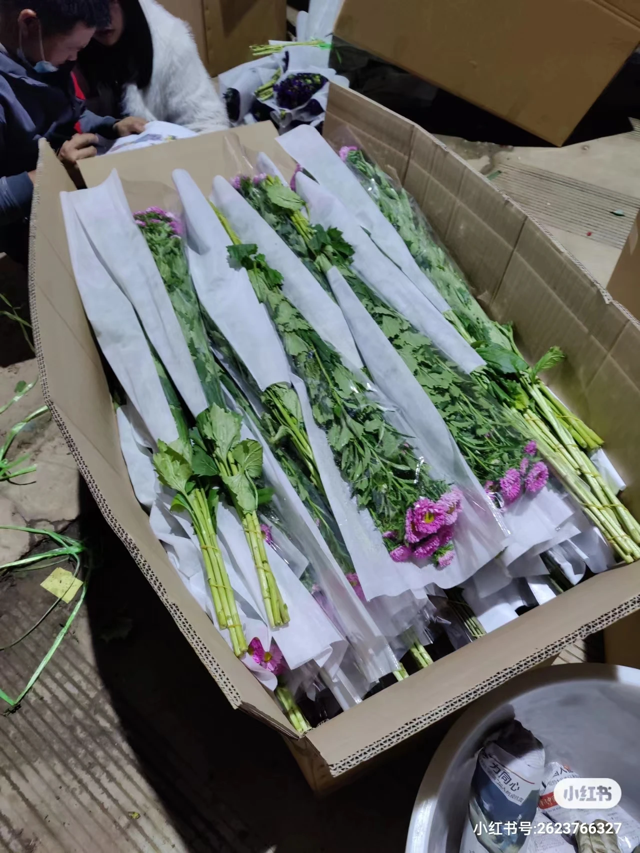 Оптовая продажа свежих цветочных спаржи Yunnan focusflower связка из 5 стеблей доставка холодной цепи
