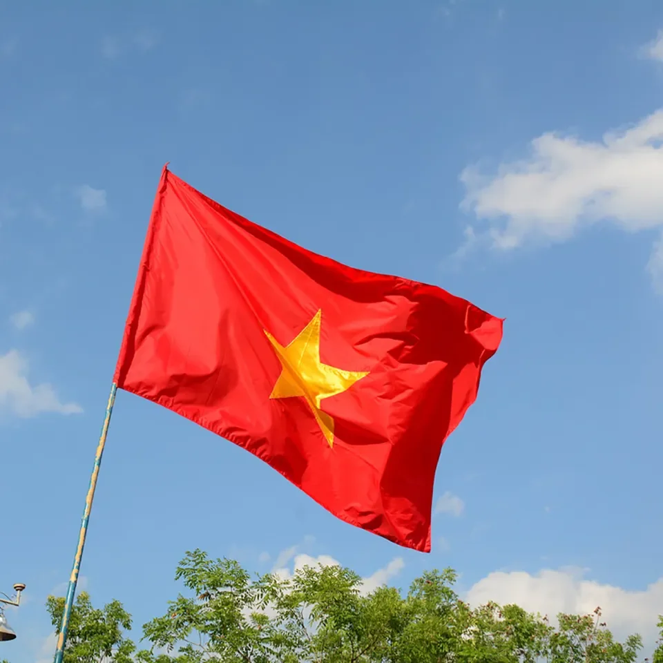 Hot Sale Custom Printing 3*5ft100%Polyester national Flag Used for Decoration Custom Vietnam flag