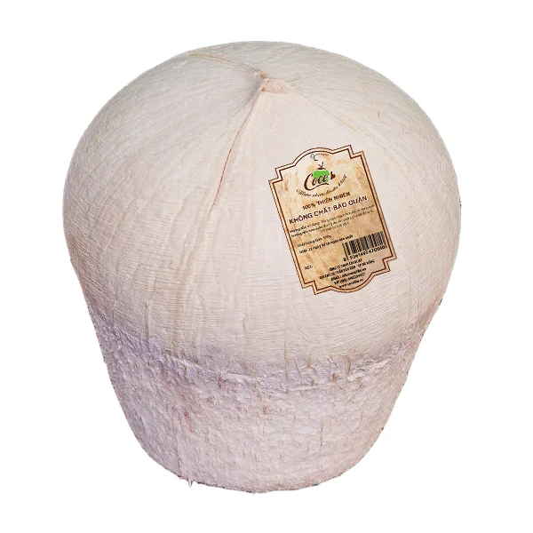 HOT HOT HOT Siamese Coconut Made in Viet Nam - Competitive price in the export market 2023