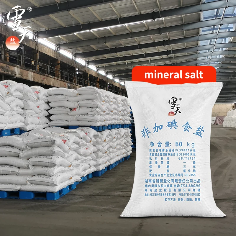 SNOWY SKY Cheap Price Industrial Grade No Iodized Salt chinese salt  pure mineral salt (1600472002825)