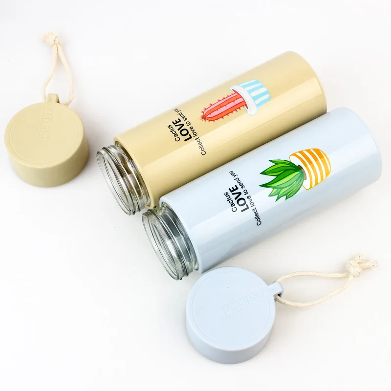 300ml Wheat Straw Double Wall Travel Cactus Glass Water Bottles
