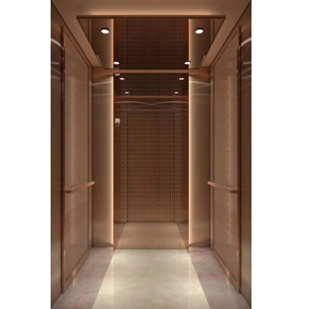 Fuji hot sale compact space indoor cabin used in home passenger elevator for hotel