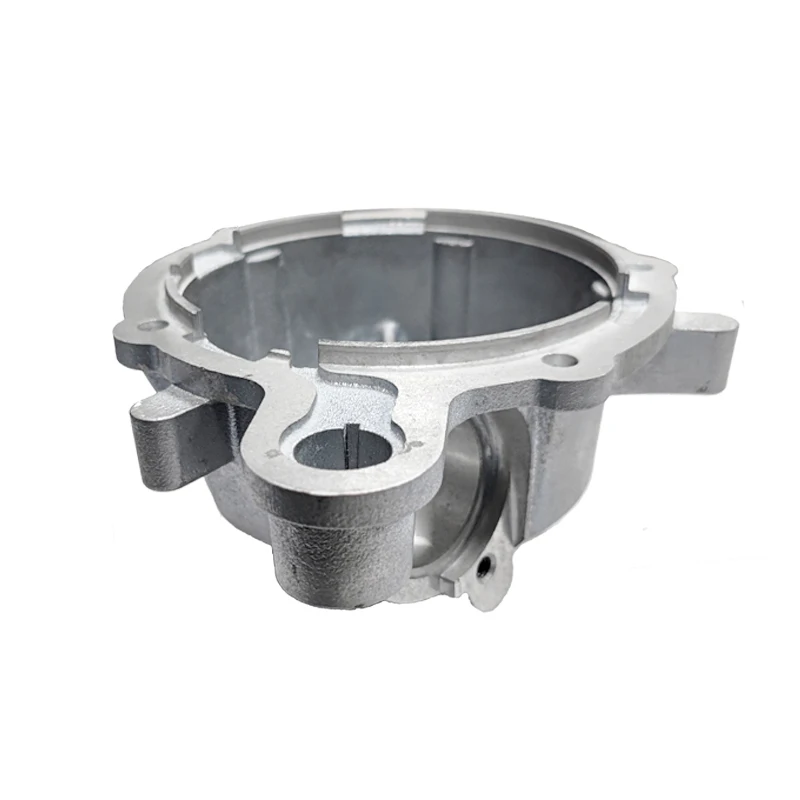 OEM Precision Aluminum Die Casting Services for Aluminum Housing