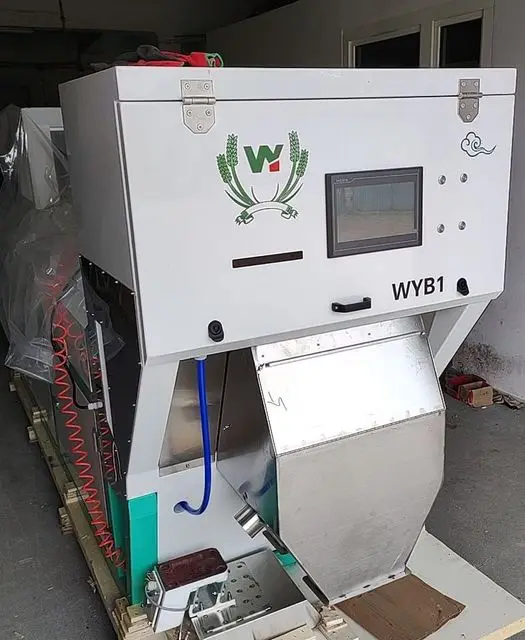 Pixel WENYAO CCD Optical Peeled Garlic Peanut Macadamia Nuts Pistachio Unpeeled Garlic Colour Sorting Machine