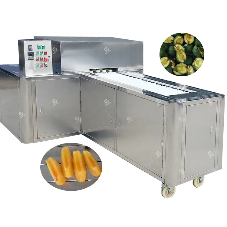 Apricot Peach Haw Jujube Avocado Cherry Olive Plum Apple Seed Removing Pitting Machine