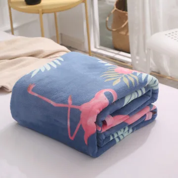 Thick flannel clond ermine blanket student dormitory blanket wholesale single and double bedspread