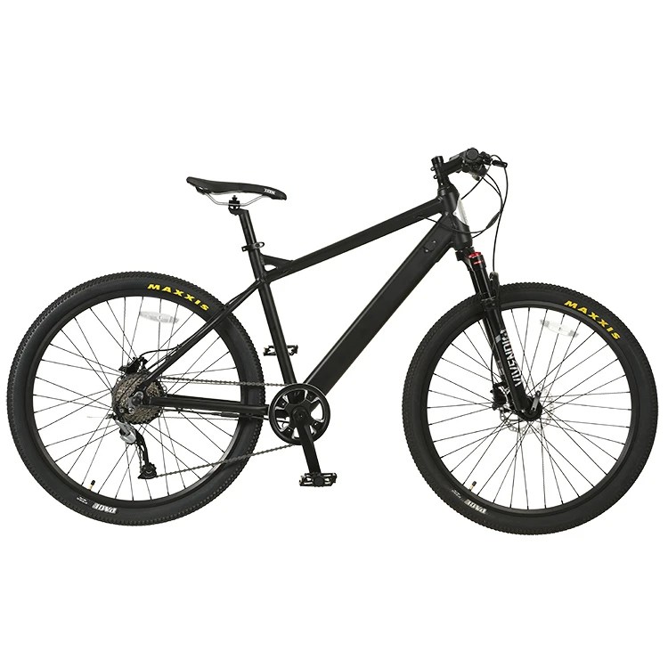 
Electric Mountain Bike for Adults Electric Bicycle Adjustable Suspension 10-Speed Transmission Rechargeable Mountain Ebike 