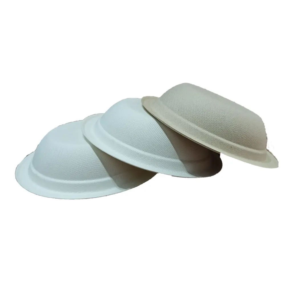 100% biodegradable sugarcane bagasse pulp 12 oz bowl with take away PET lid