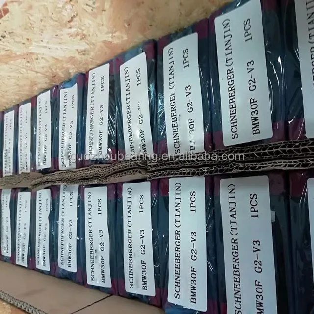 Schneeberger Linear Open Slider Linear Bearing Cylindrical Guide BMW30F-G2-V3