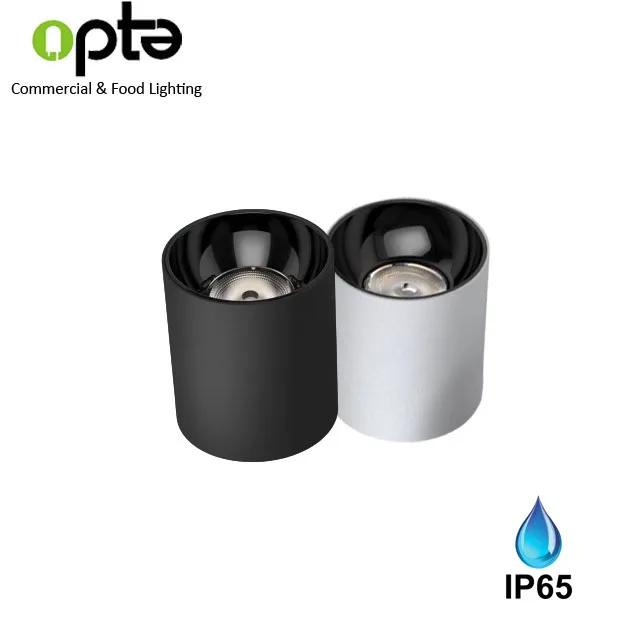 Cylinder 20W outdoor LED Ceiling Surface Mounted Downlight with IP65