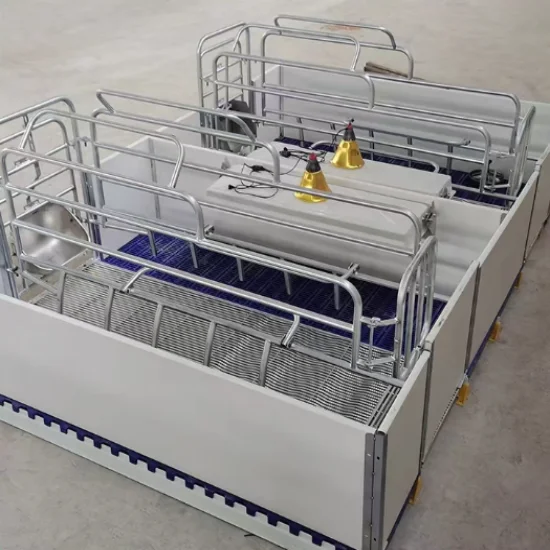 European type pig farm equipment sow cage european style farrowing crate for pigs cheap