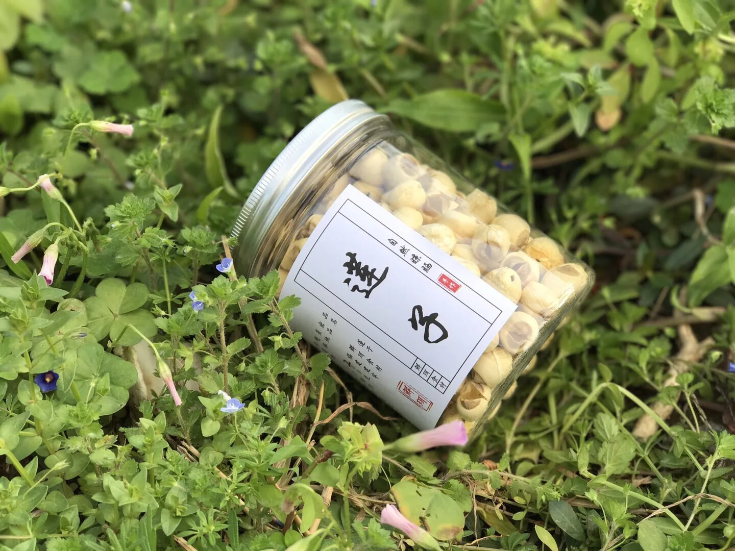 Factory Wholesales Dried White Lotus Seeds Lianzi of Traditional Chinese Medicine Chinese Dry Lotus Nut