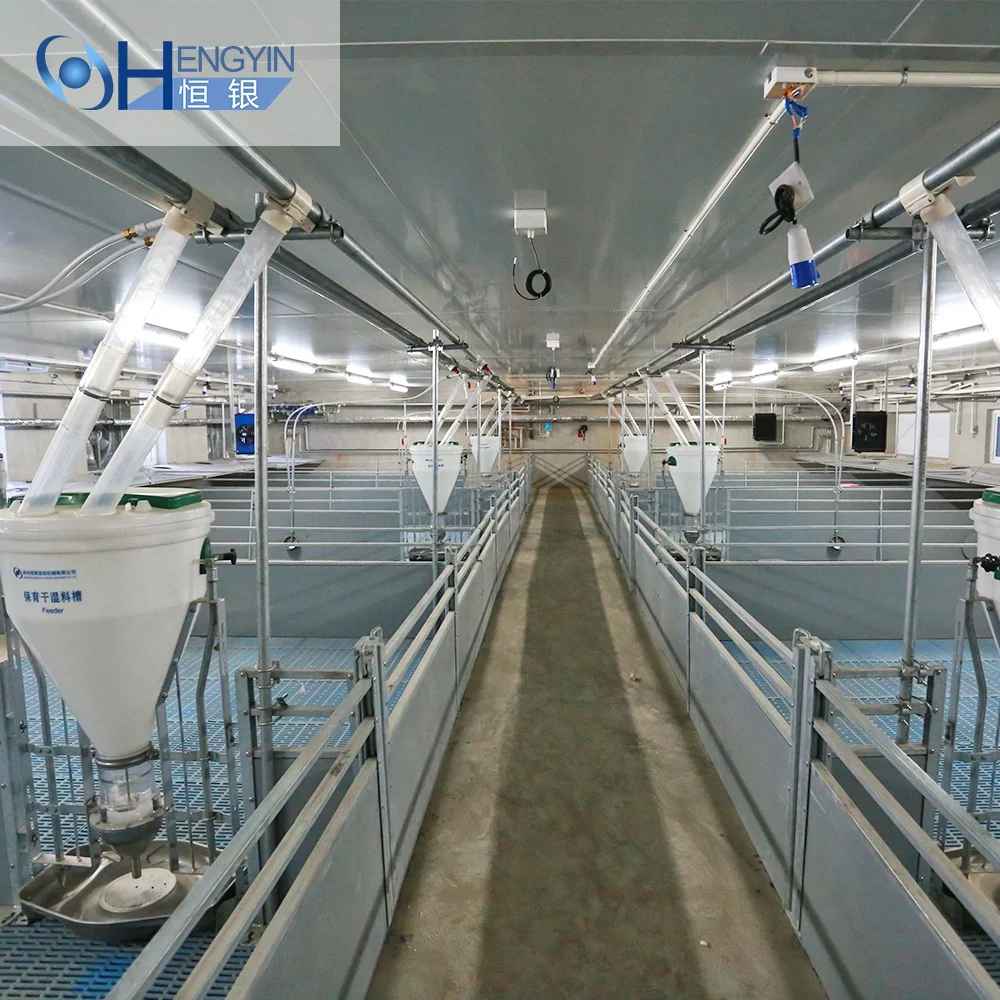 100 L animal husbandry Grower Feeding Pan System Livestock automatic  pigs feeders for sale farming equipment