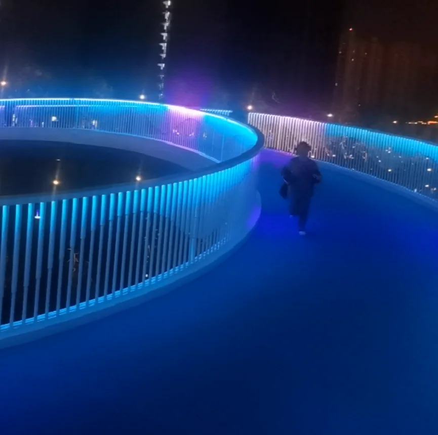 9W RGB Led Strip 24V Rainbow Led Strip Programmable SMD 3528 Led Strip