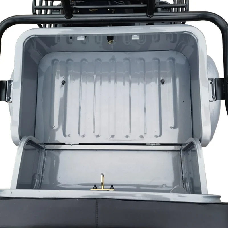 CQHZJ Good Quality  Electric Tricycles Scooter 600w Electric Tricycle For Passenger For Cargo