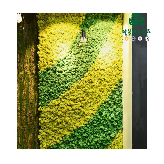 Zhen xin qi crafts   preserved forest moss decorative preserved artificial moss wall panel