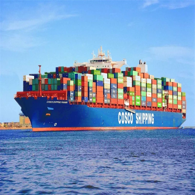 Professional China good service shipping agent sea shipping to USA by door to door Serve