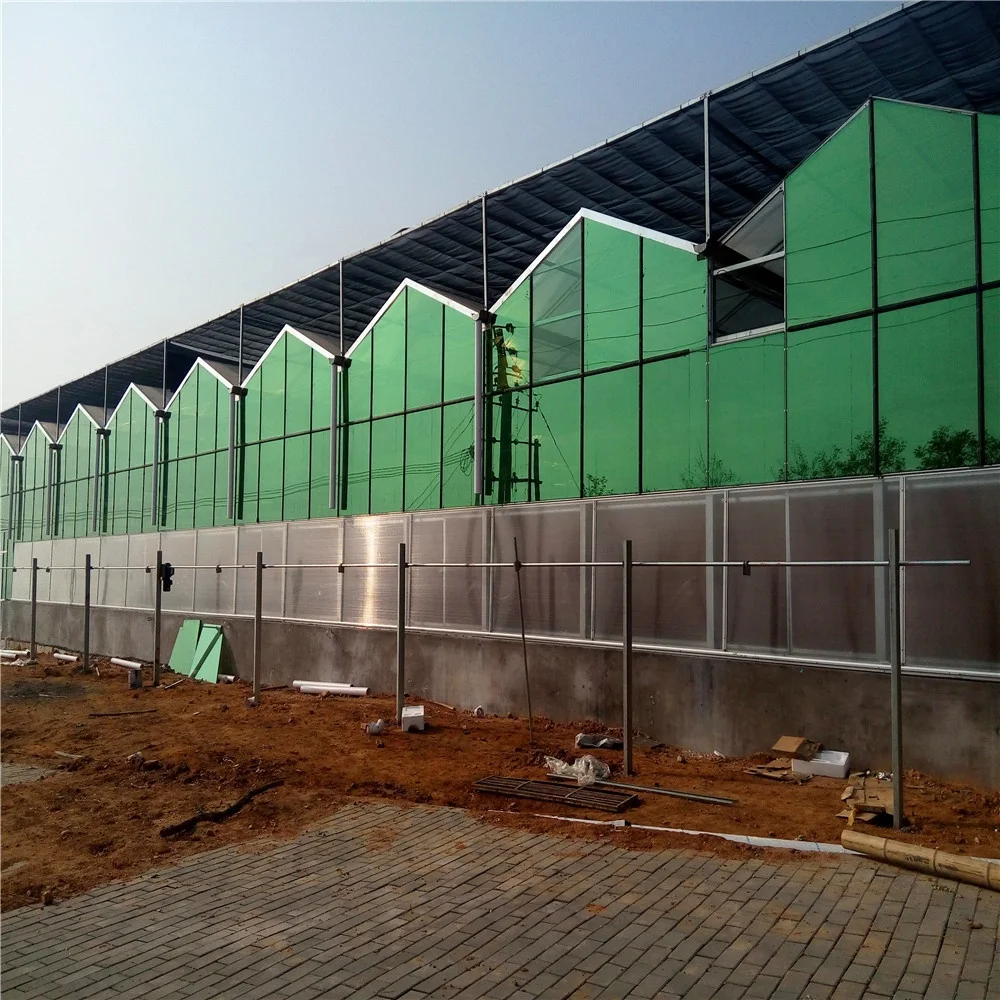 
greenhouse cultivation 