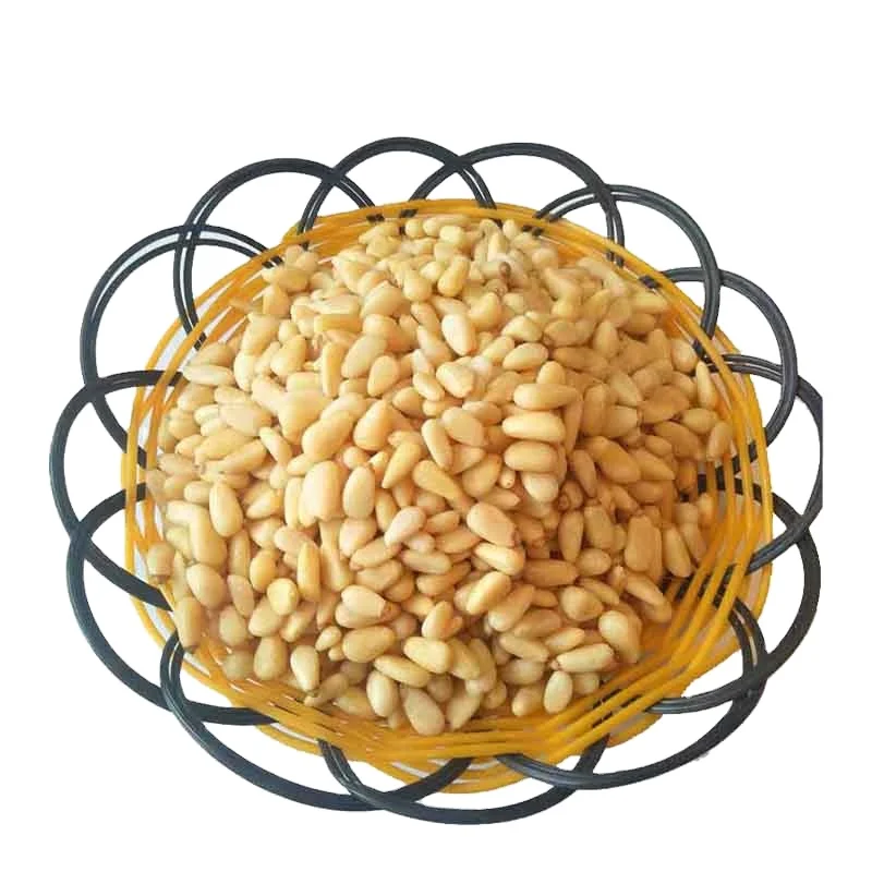 Processing plant best quality good prices bulk package pine nut seed