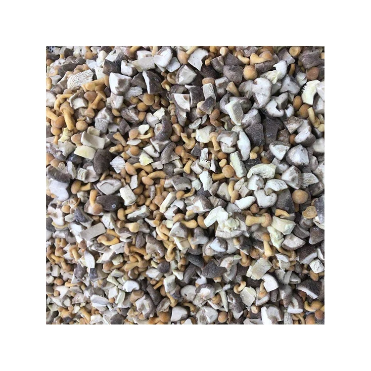 Поставка высококачественных замороженных смешанных грибов хит продаж замороженные грибы