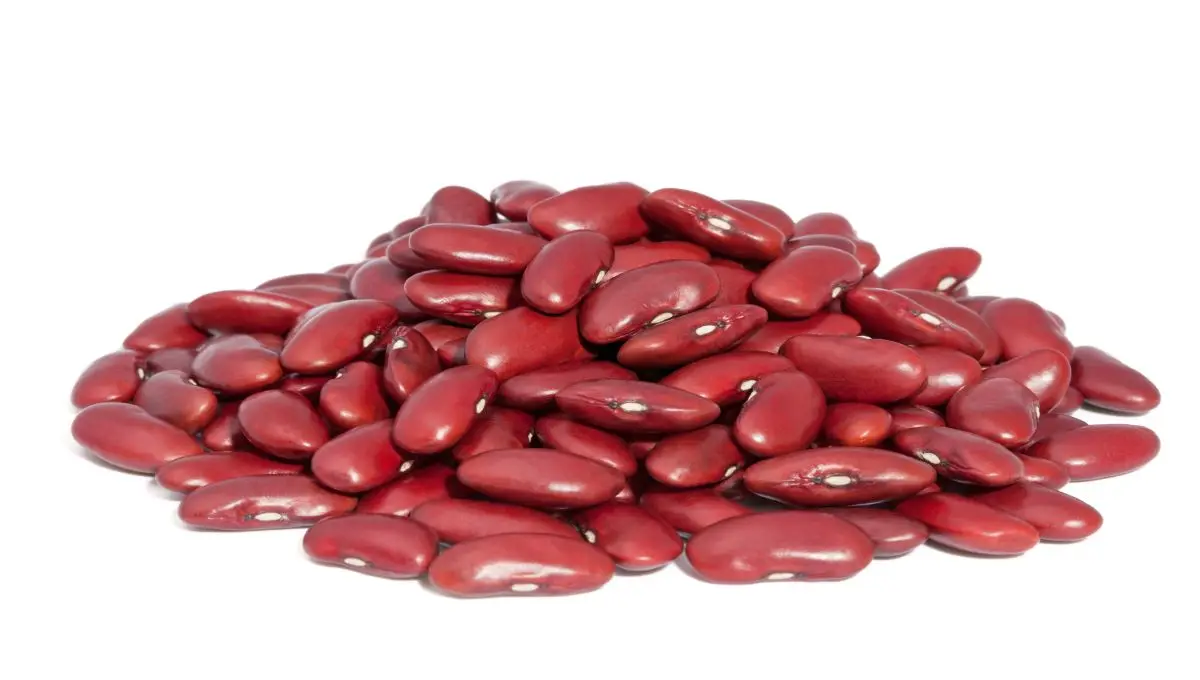 Wholesale High Quality Premium Red Kidney Beans Origin Product Salt Ingredients for Sale Quality Beans Supplier