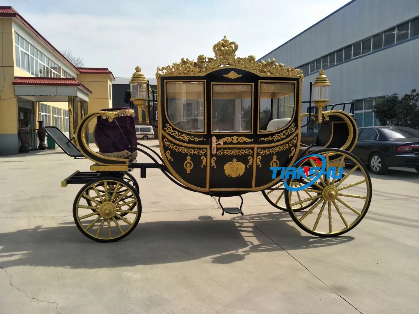 Лидер продаж производитель экскурсионных автомобилей Королевский вагон высшего качества современный Электрический