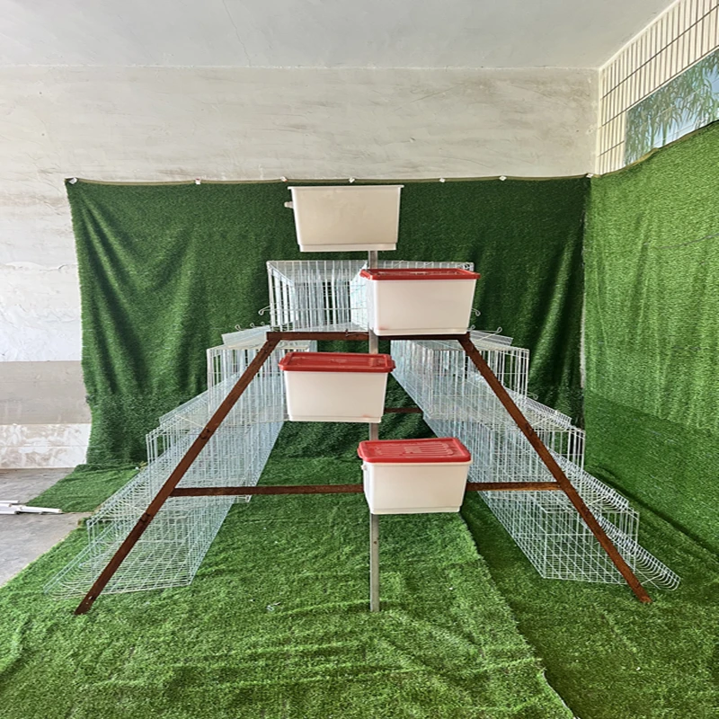 Оборудование для птицефермы клетка животных пластиковая оранжевая курицы транспортный ящик