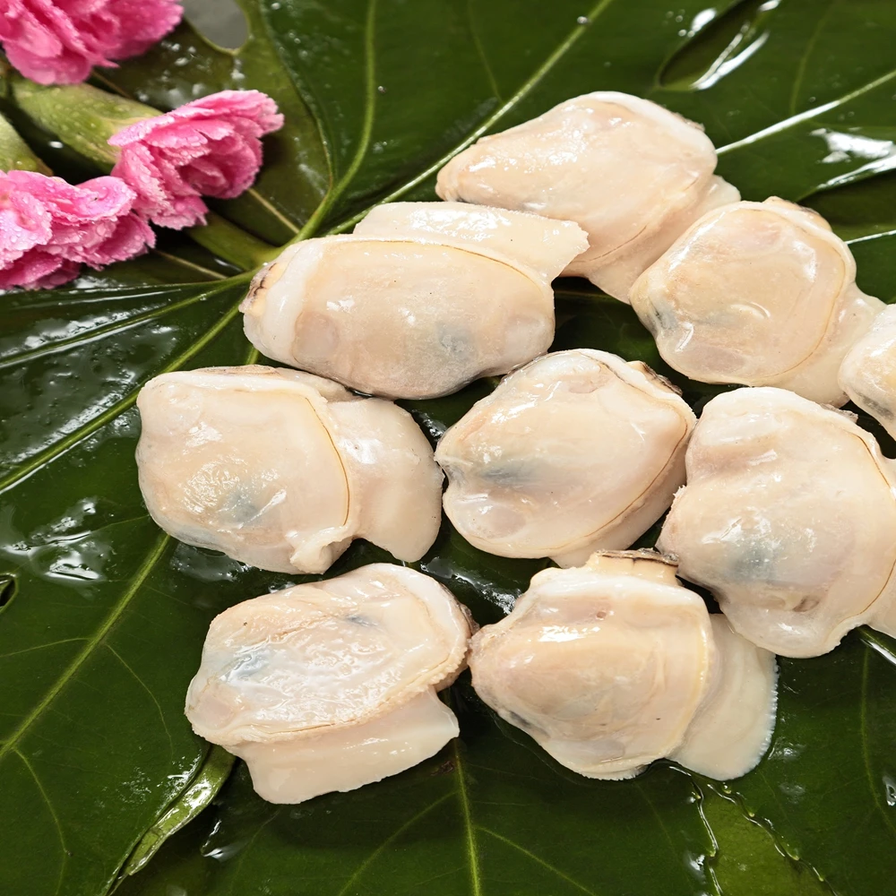 
Профессиональный пряный Детские моллюск Clam опытных Детские моллюск 