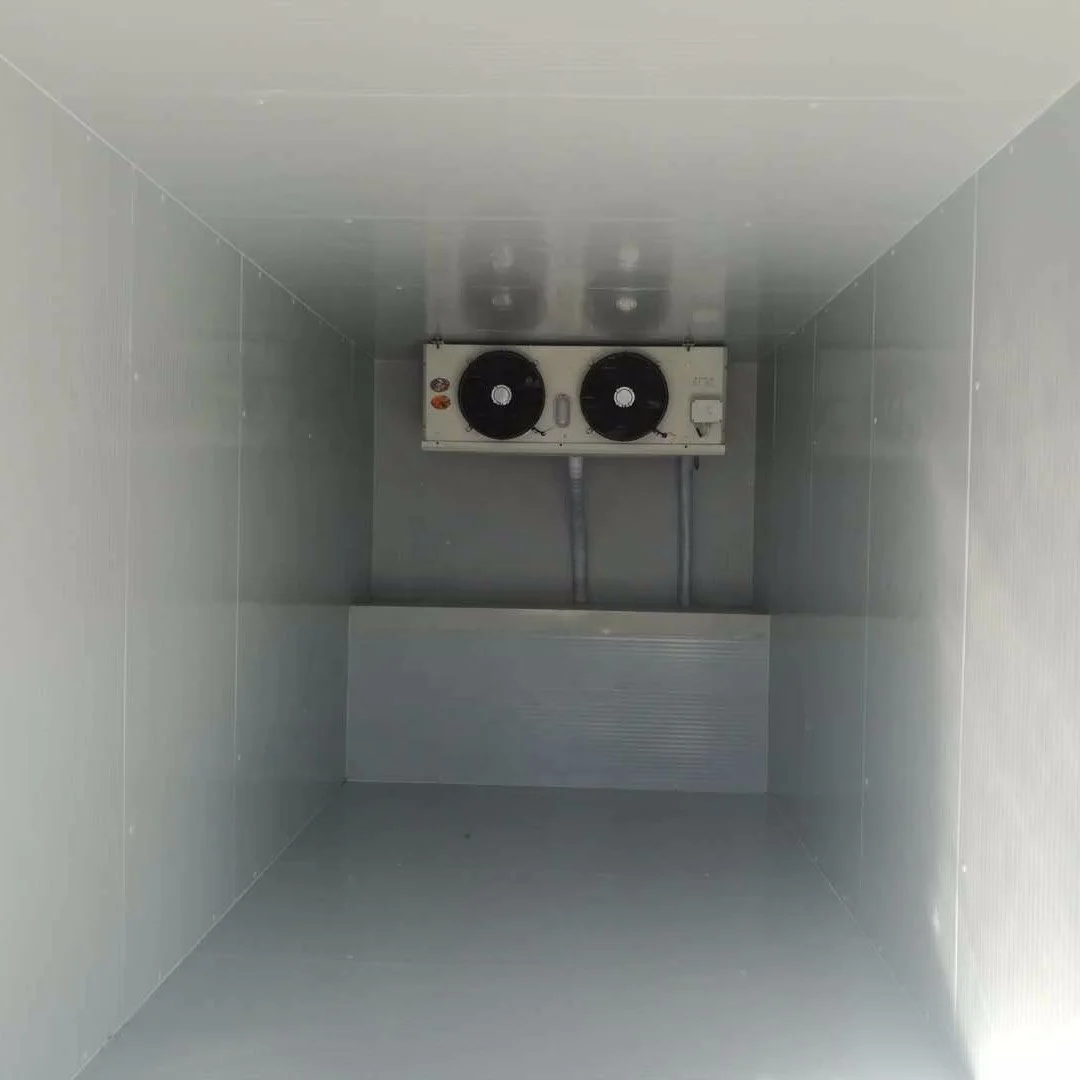 Walk-In Chamber Industrial Refrigeration Cold Storage Freezer Cold Room Price