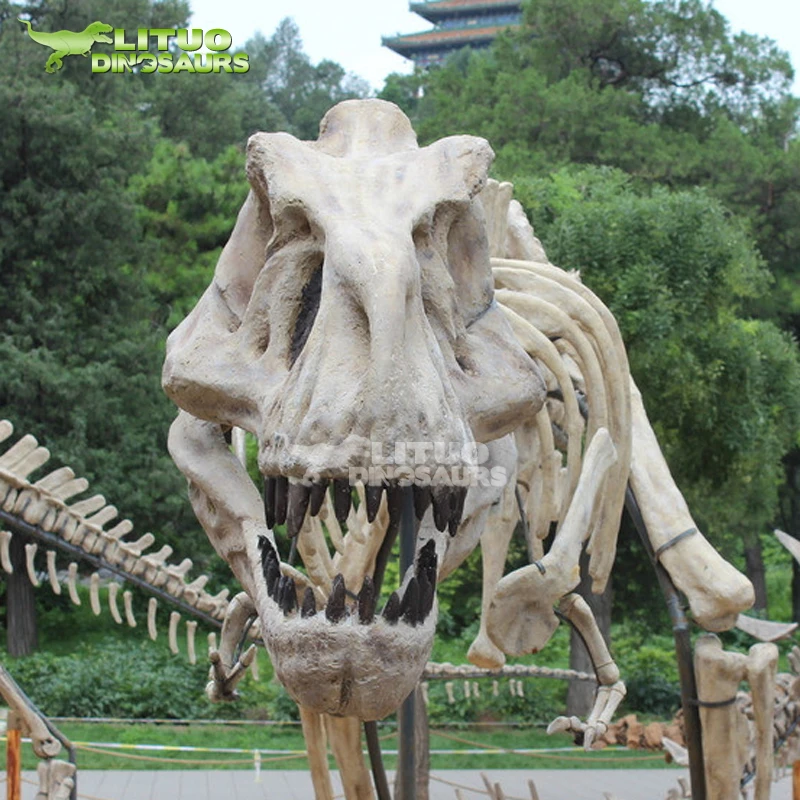 Life Size Dinosaur Skull of T-rex