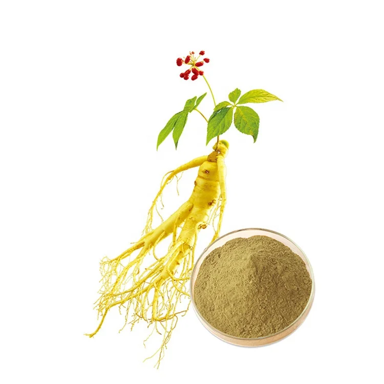 GMP Factory High Quality Panax Ginseng Root Extract 8~80% ginsenoside