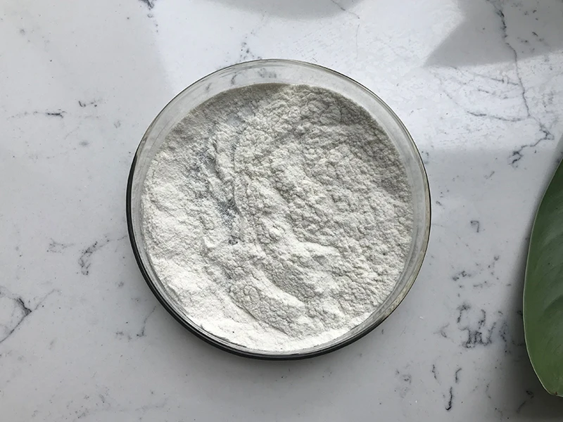 Insen Provide Bulk Stock Nano Chitosan Chitin