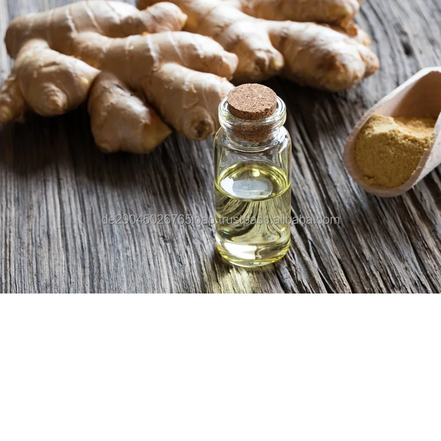 LIGHT YELLOW TO YELLOW LIQUID GINGER OIL TERPENELESS CAS Number: 8007-08-7 Food Grade, Kosher, Halal, EU Natural, US Natural