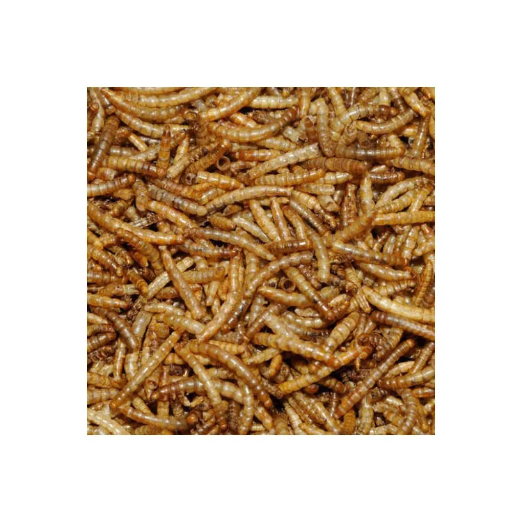  Сушеные mealworms для куриной еды с китайского завода