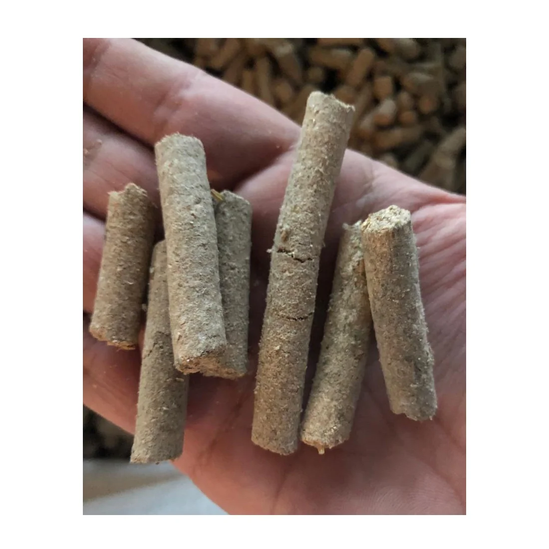 Wholesale Wheat granulated bran bulk for pigs for caws for horses high grade natural product animal feed