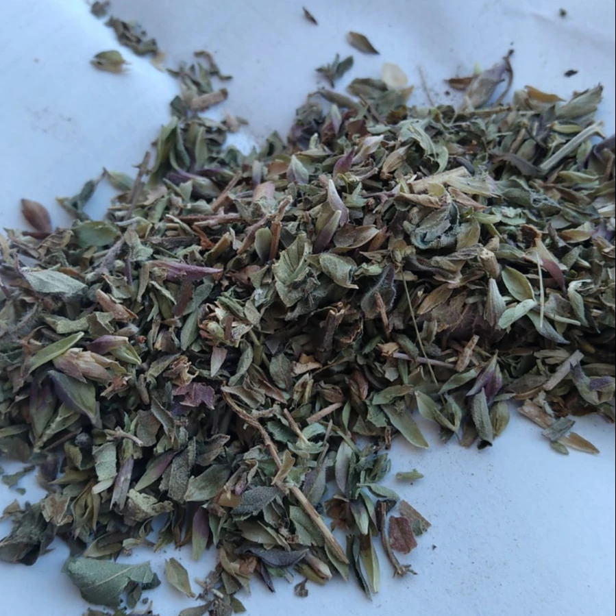 Wholesale Premium Quality Steak Spice oregano leaves natural dried Factory directly Dried oregano leaves