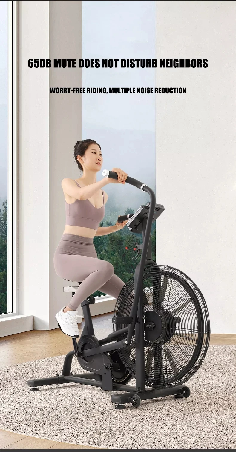 Professional Commercial Household Aerobic Training Exercise Bike