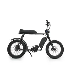 2021 Марио ретро тип 1000 Вт bafang bbshd Средний мотор ebike с ремень gates