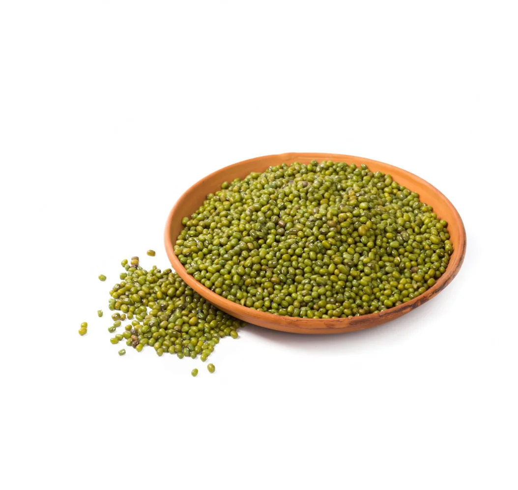 Вьетнамский поставщик, оптовая продажа, высококачественные сырые вьетнамские бобы мунг по низкой цене