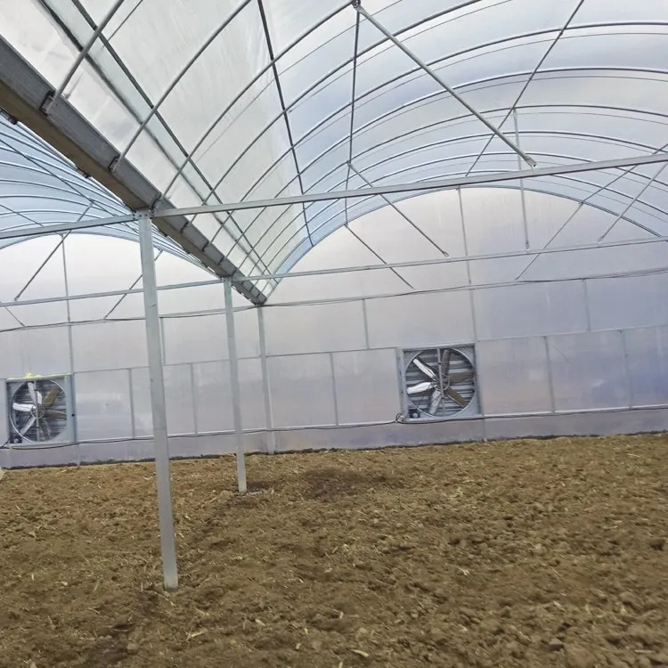 Современная тропическая купольная крыша томатная гидропонная многопролетная теплица для продажи