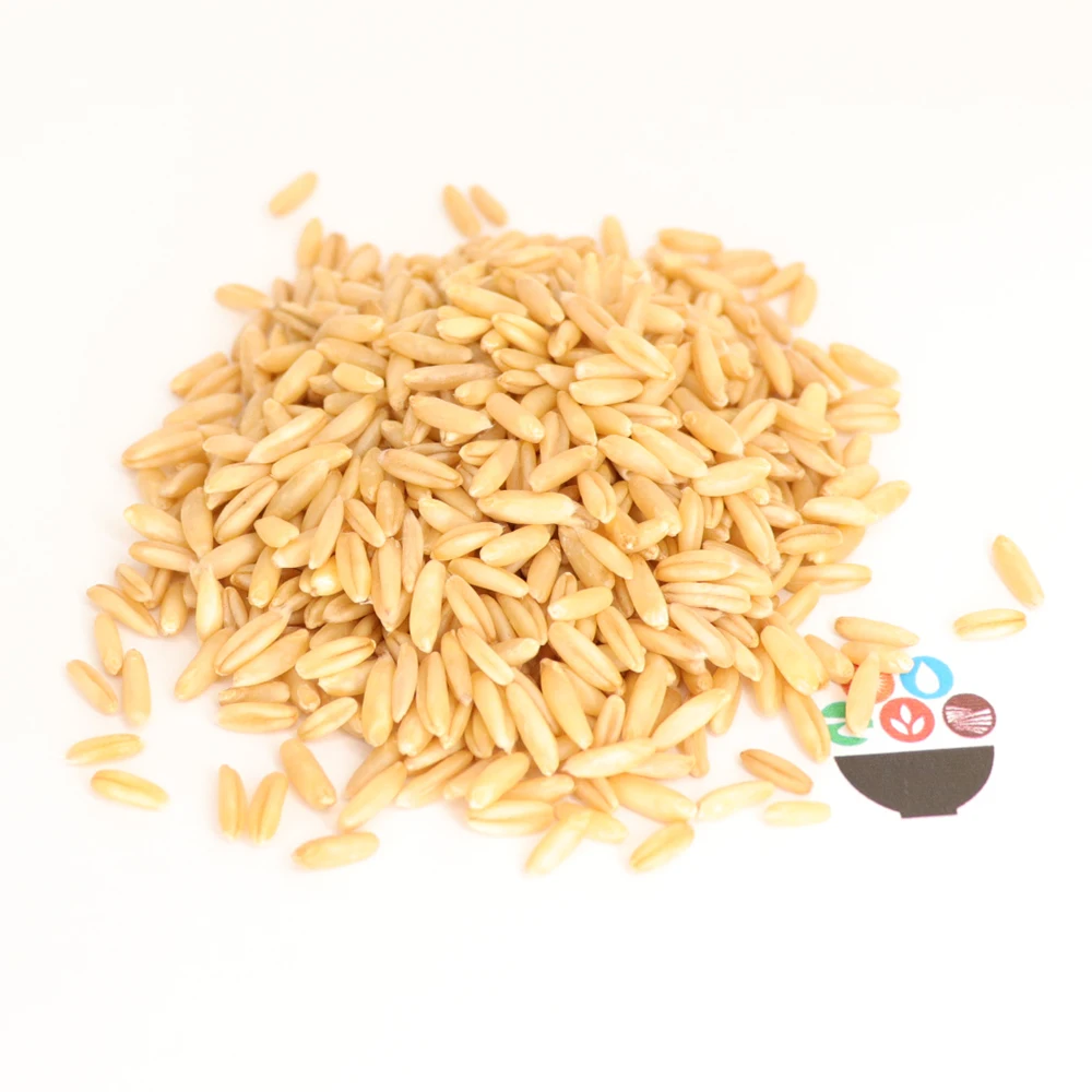China Origin Oat Nihewan High Quality Groats Grain Oats