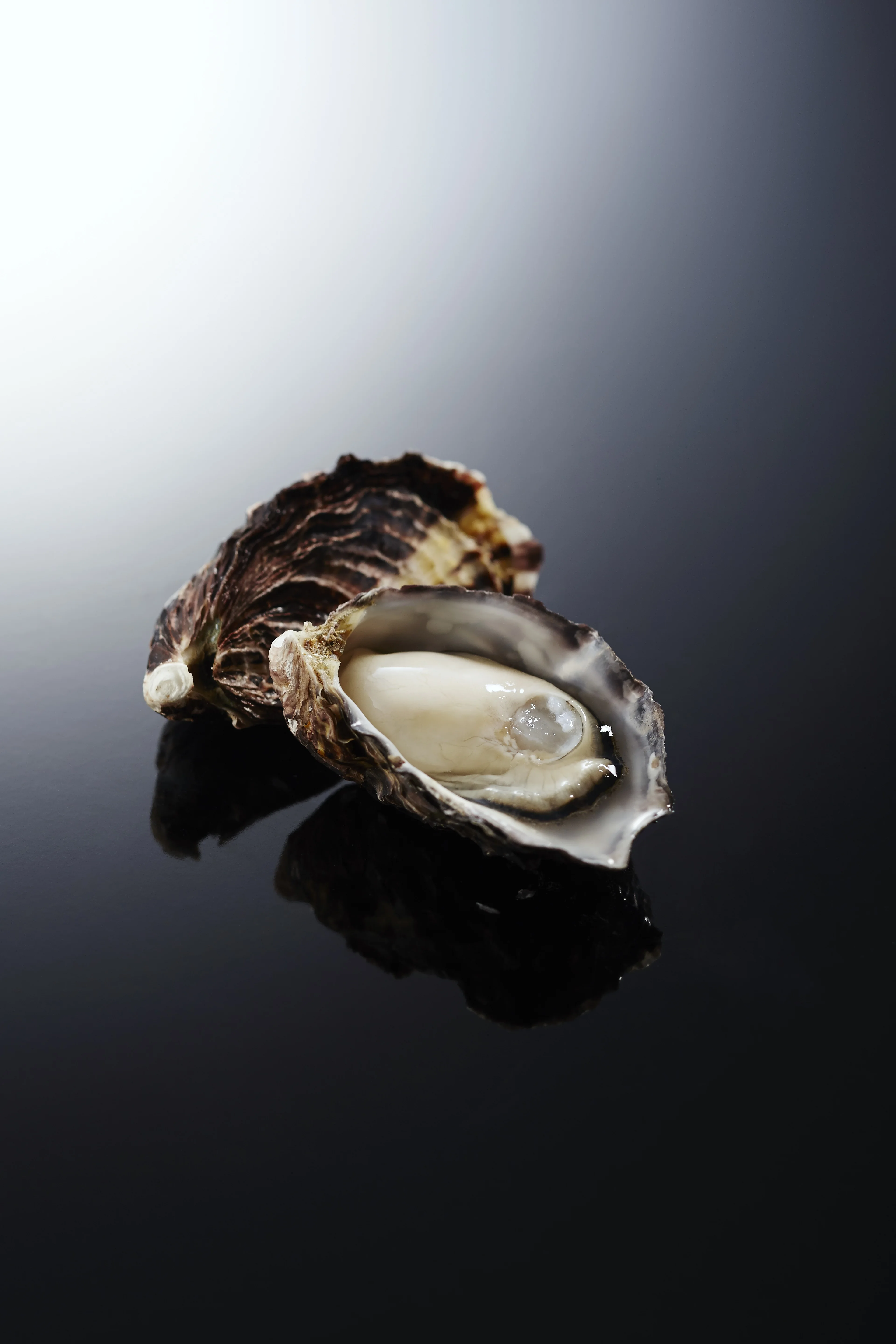 Original small size contain minerals raw fresh frozen oysters