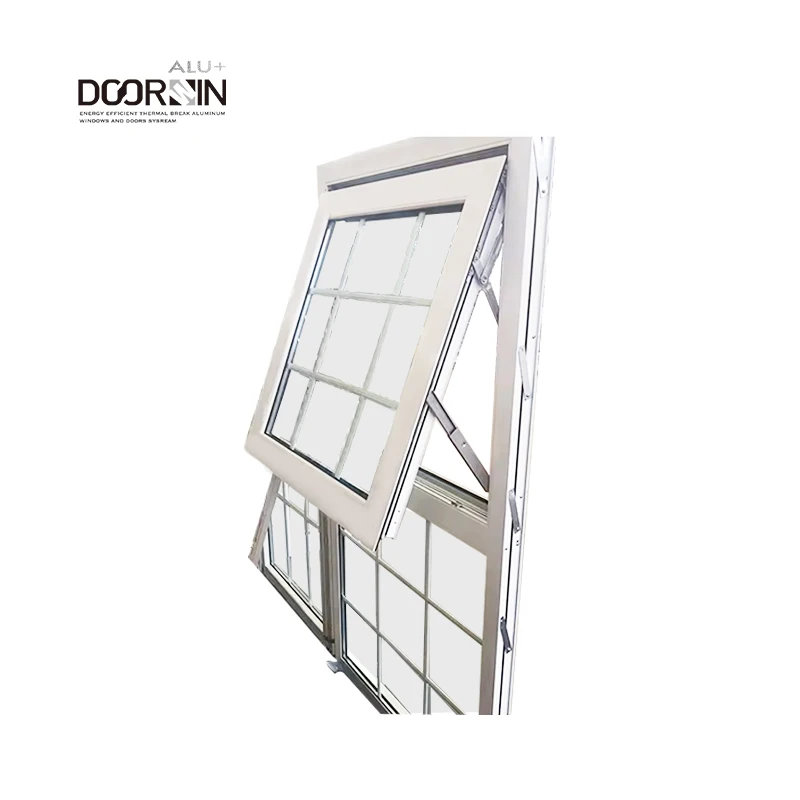 Doorwin Modern Virginia thermal break aluminum vertical sliding hollow glass dust proof awning windows
