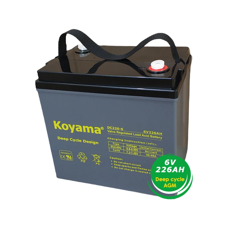 Свинцово-кислотный аккумулятор T105 226AH 6 В