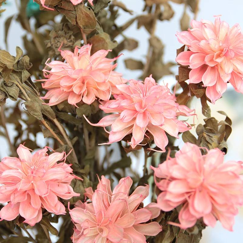 Boho decor handmade dried flowers and plants home decor handcraft dry preserved greater stitchwort