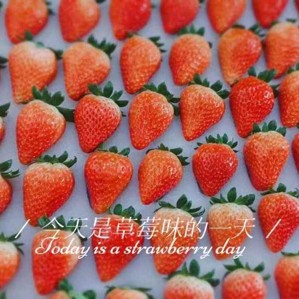 High quality big size tasting wholesale clean sweet strawberry