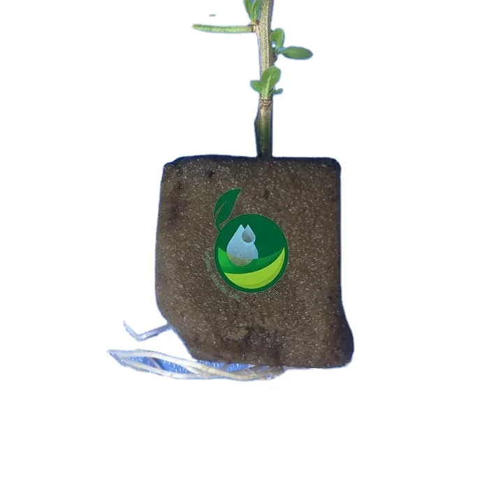 soilless mediums / hydroponic substrates